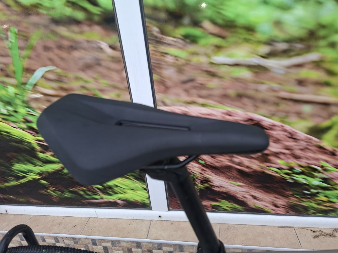 Bike view 12