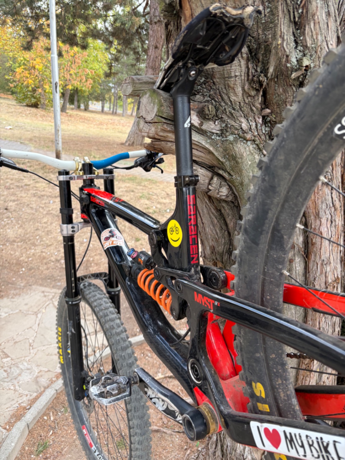 Saracen Myst x carbon view 11