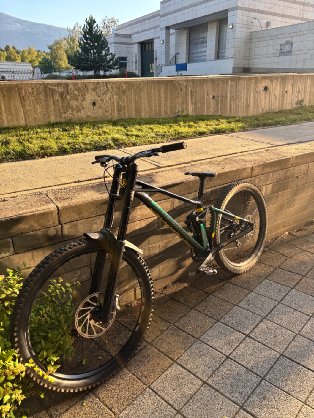 Bike view 5