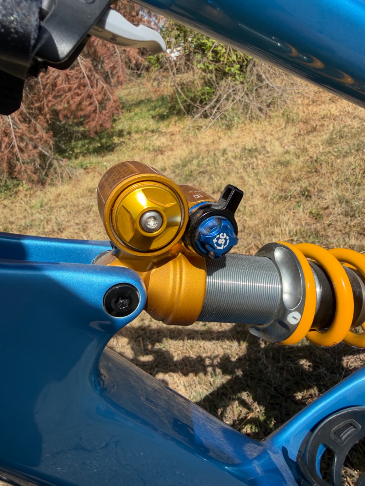Bike view 11