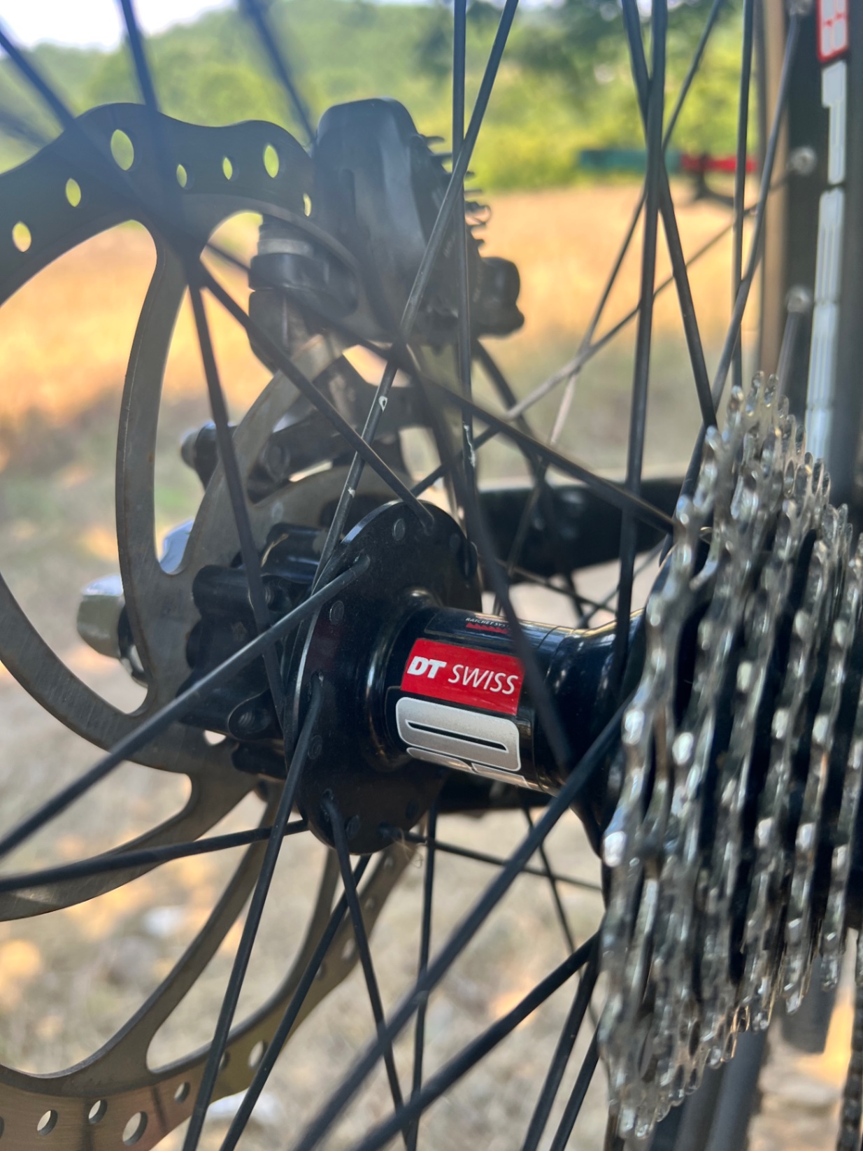 Bike view 10