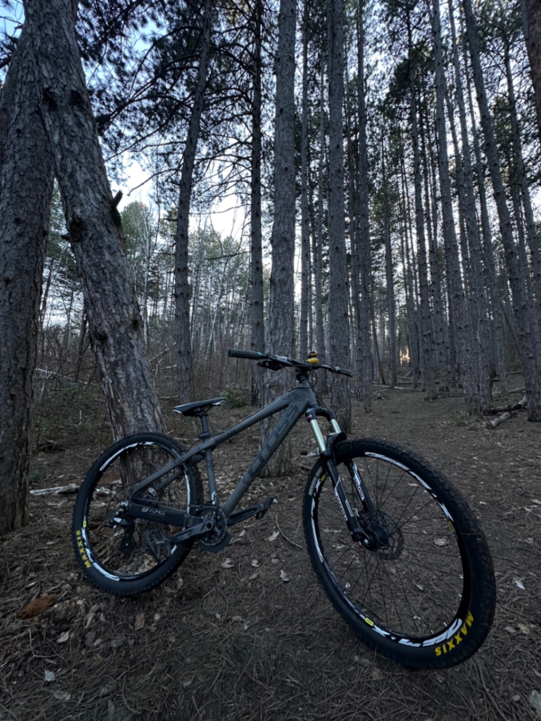 Bike view 11