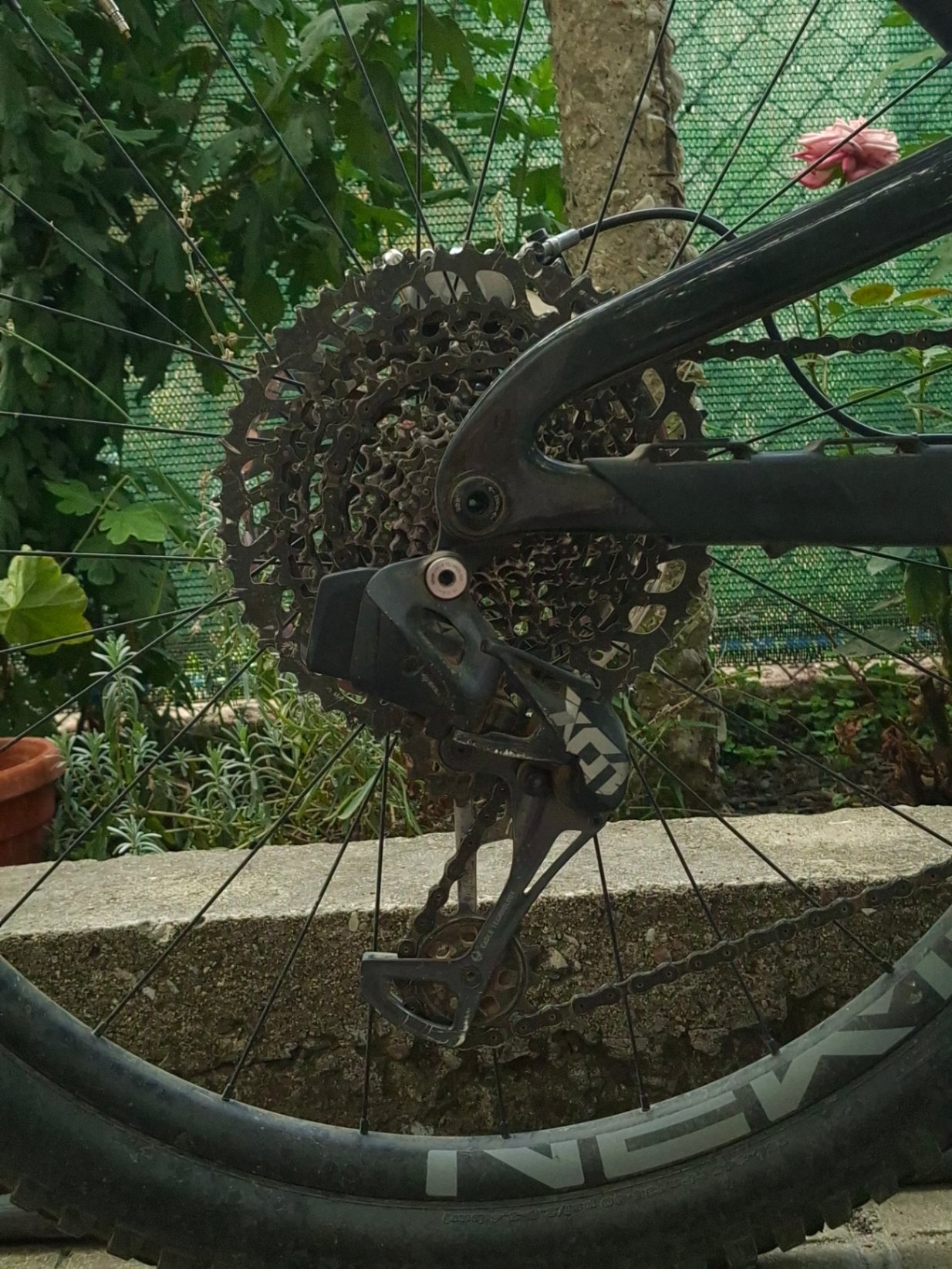 Bike view 7