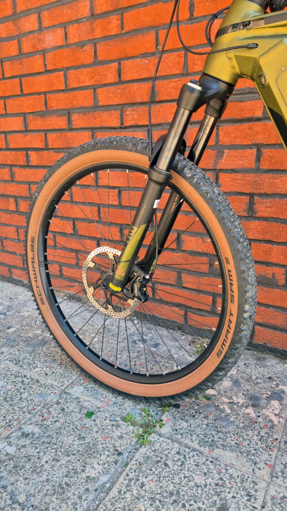 Bike view 11