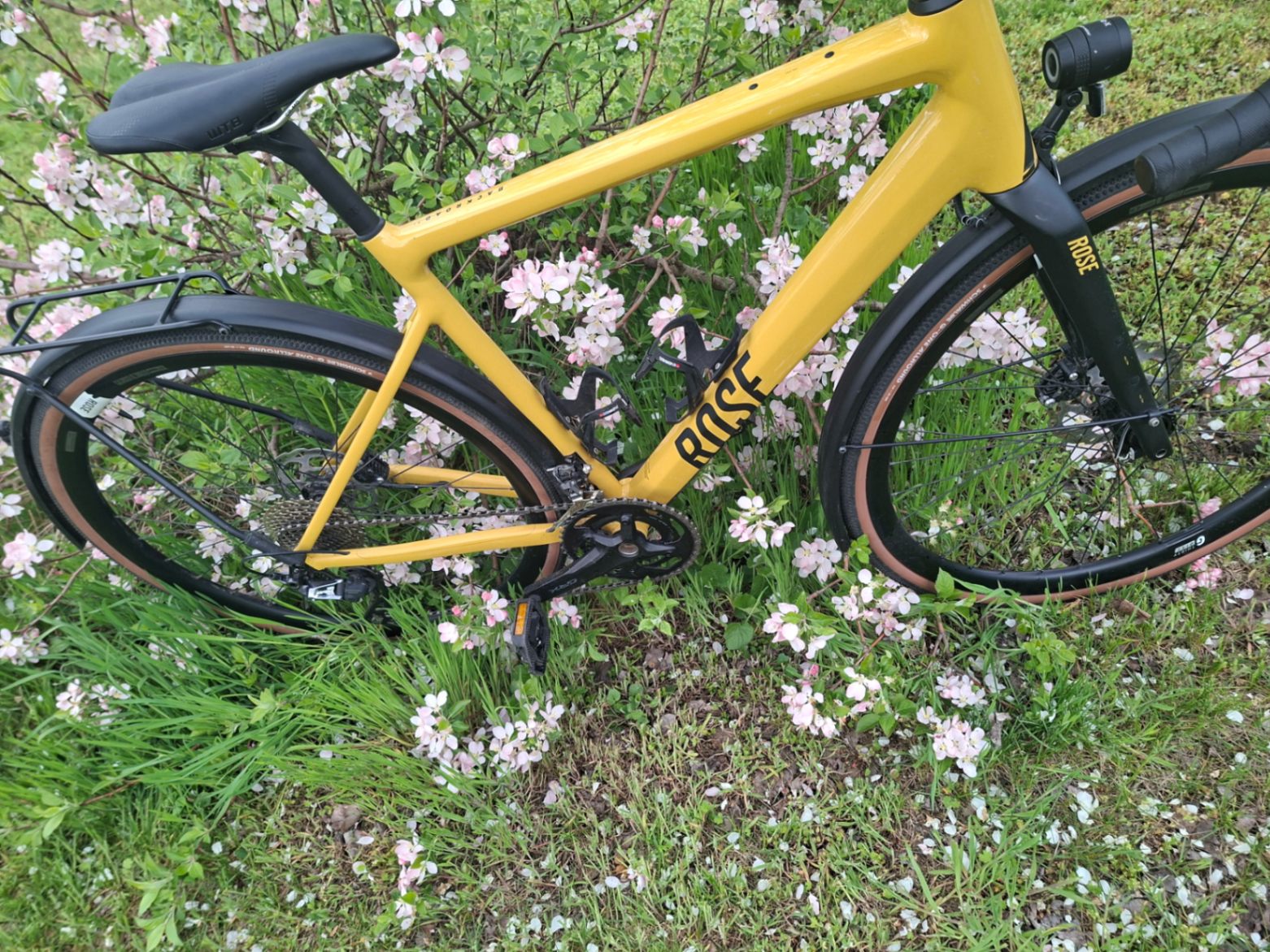 Bike view 11