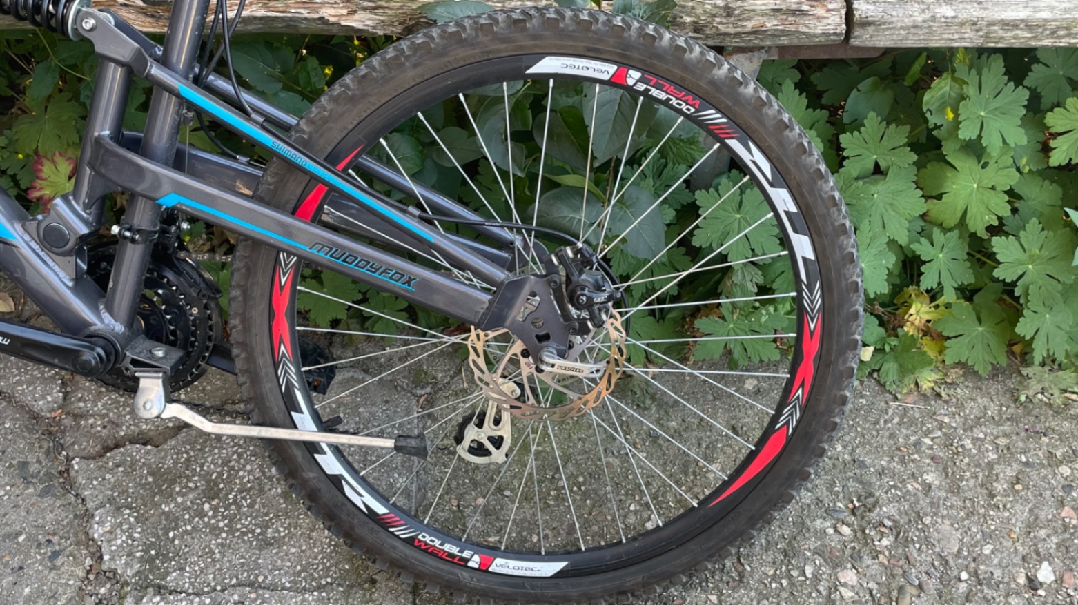 Bike view 11
