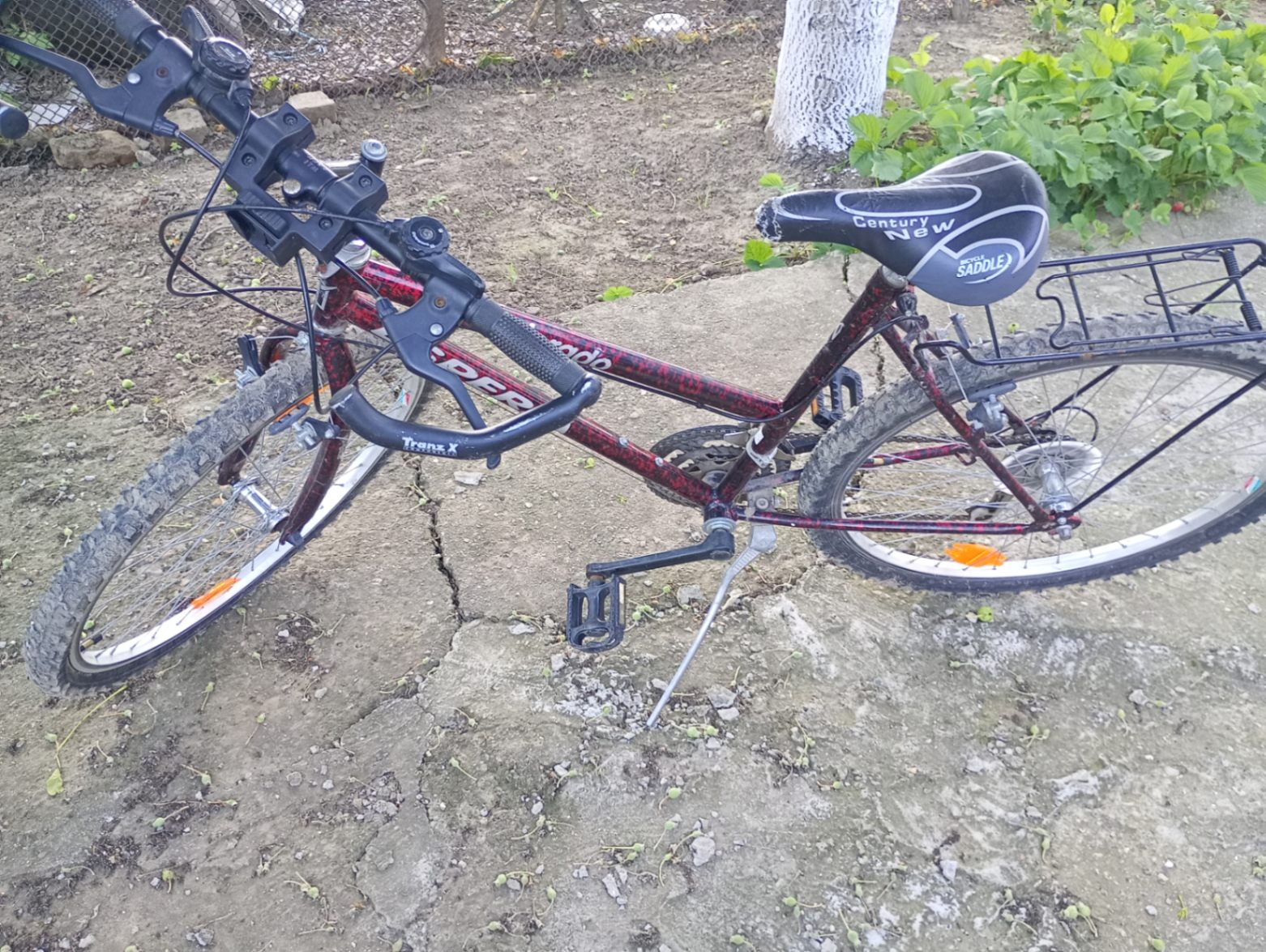 Bike view 2