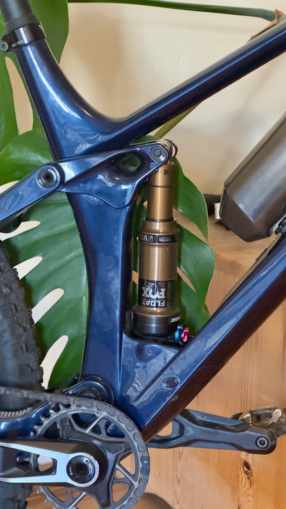 Bike view 6