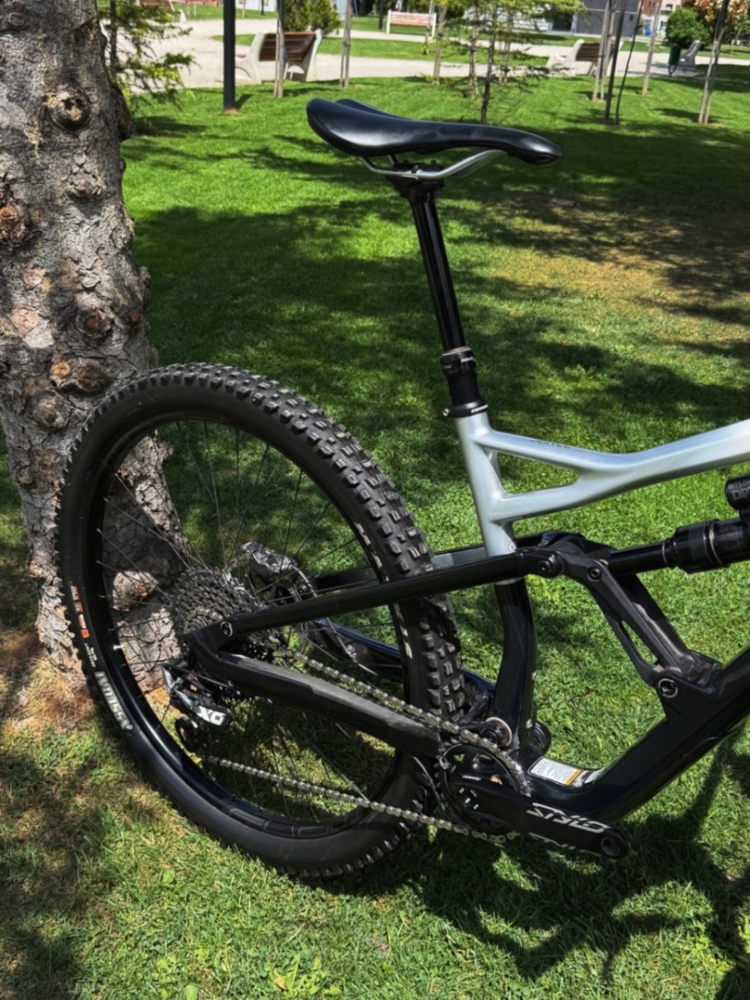 Bike view 8