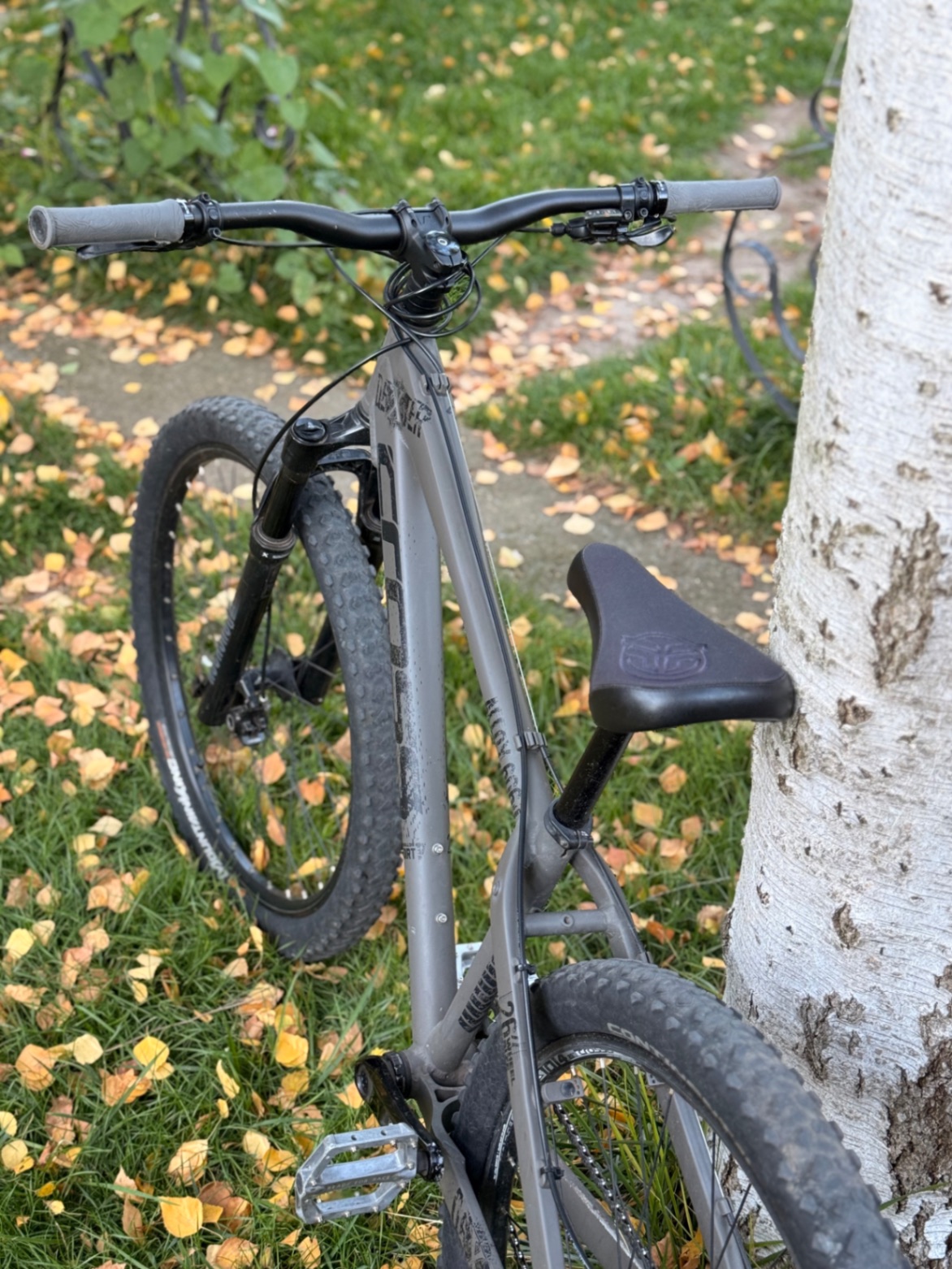 Bike view 2