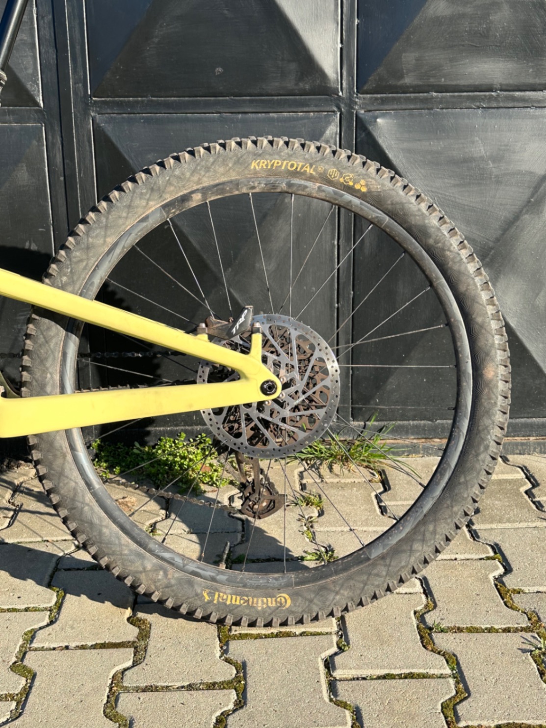 Bike view 8