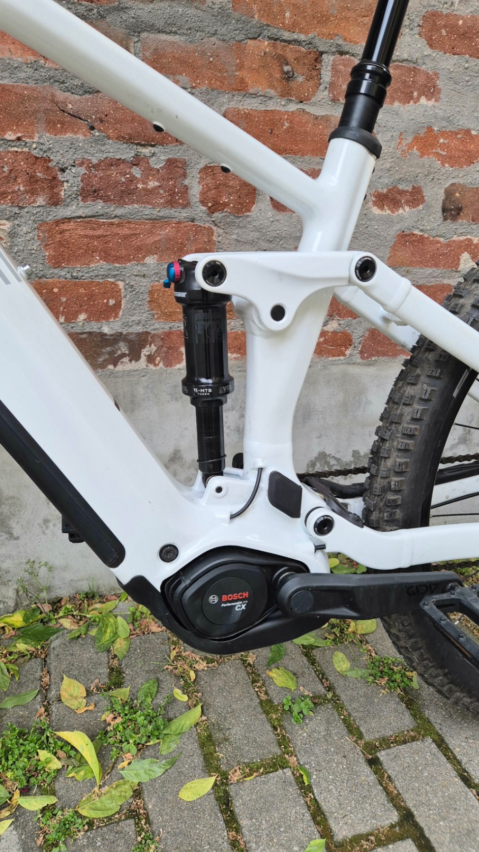 Bike view 11