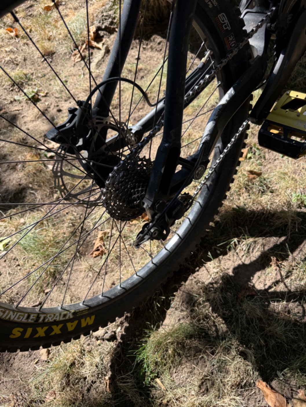 Bike view 8