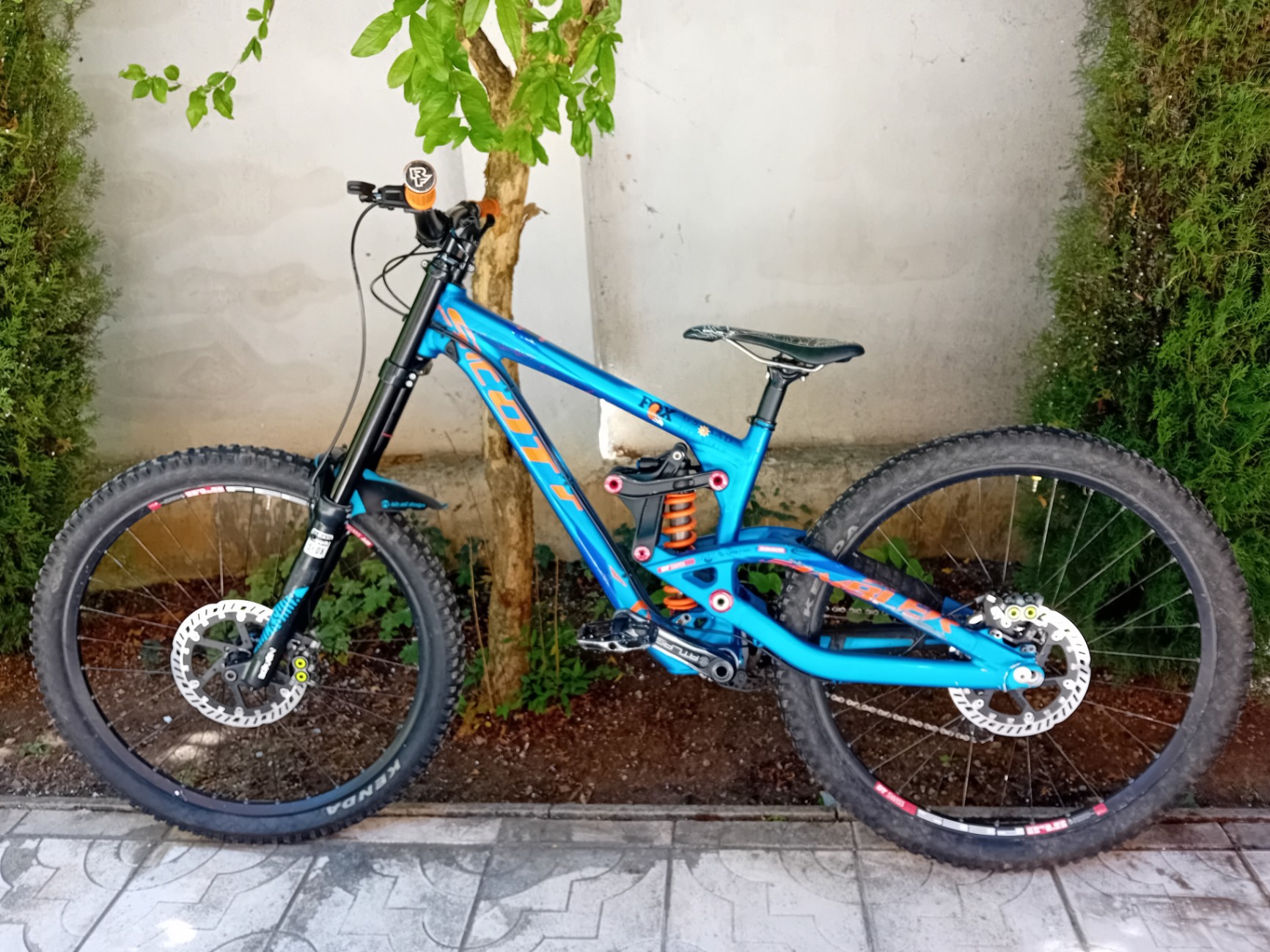 Scott Gambler 730