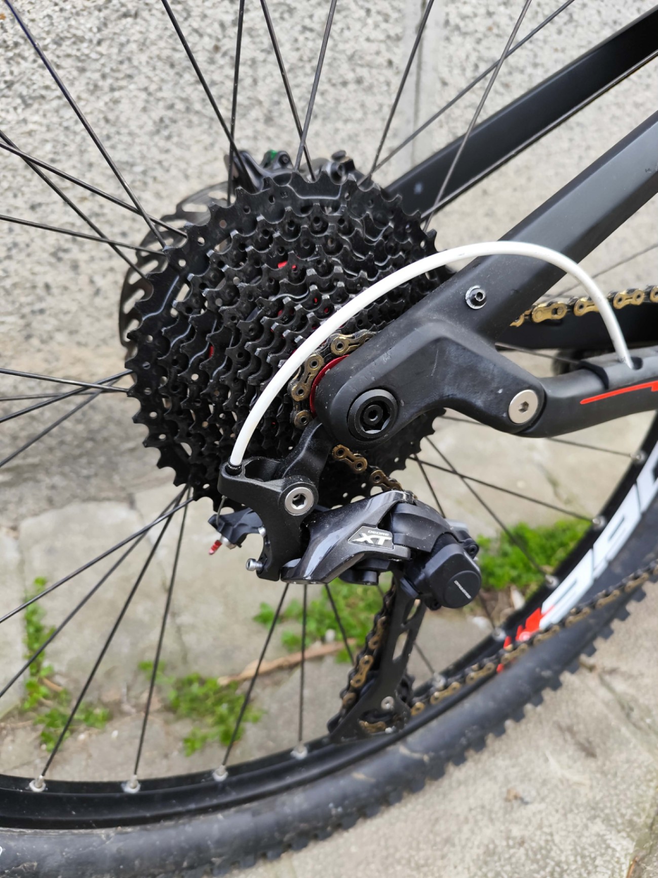 Bike view 9