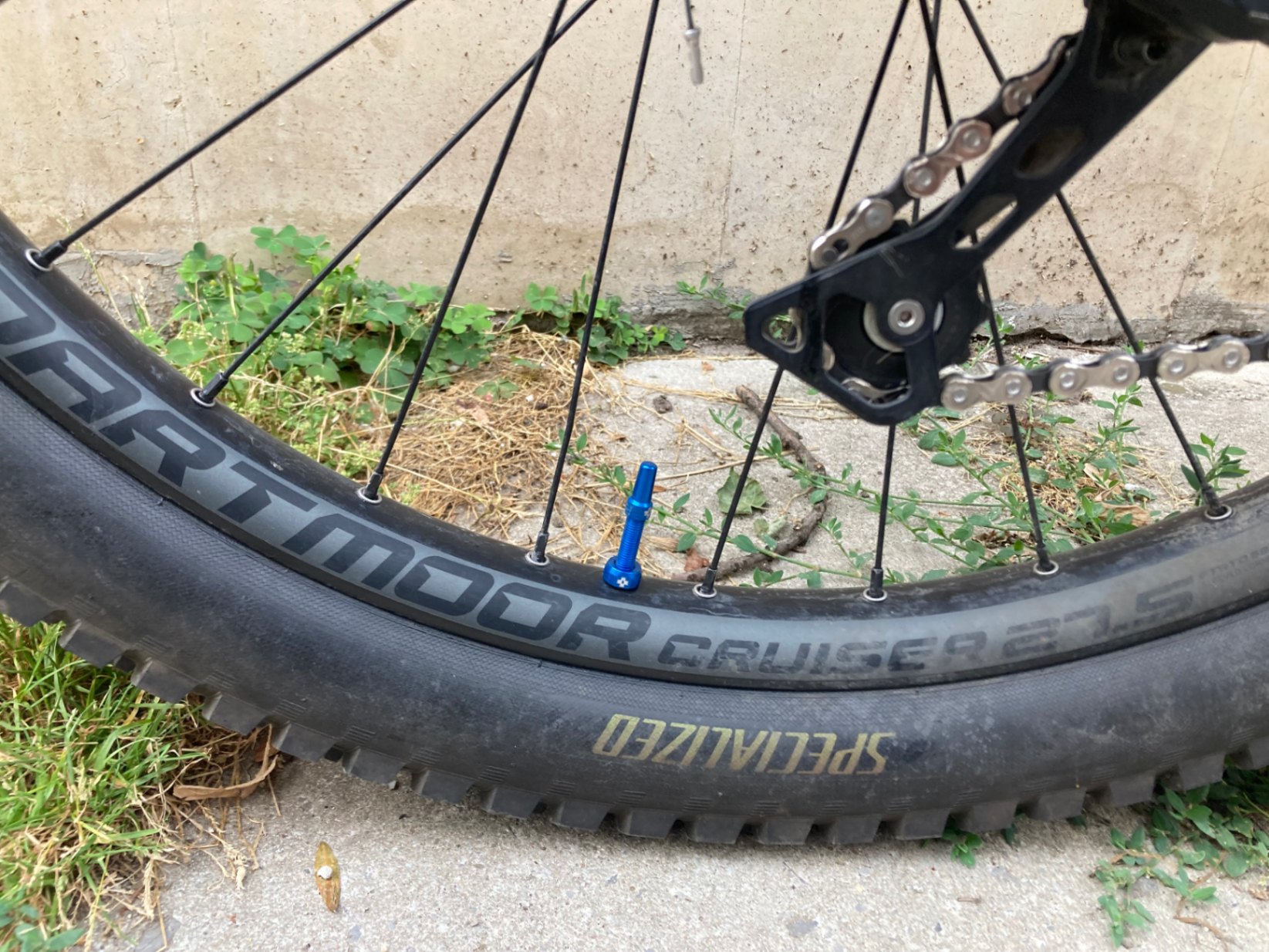 Bike view 6