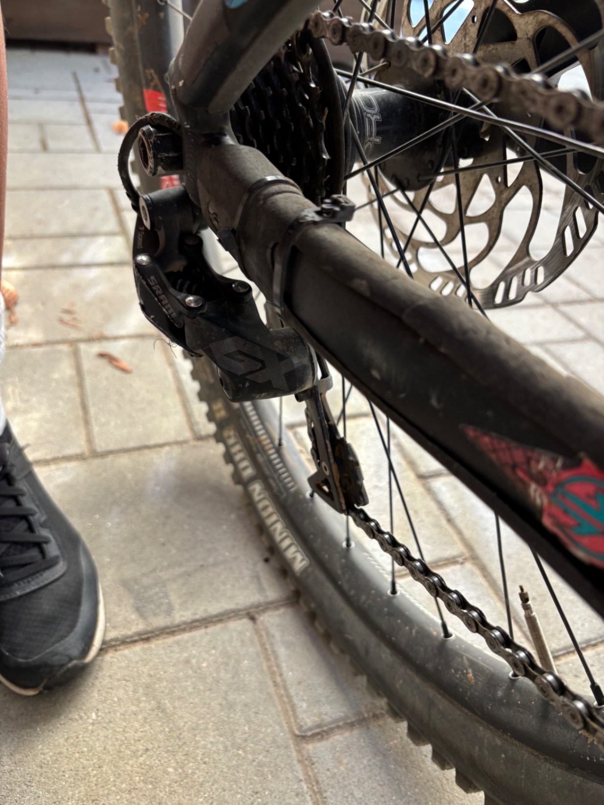 Bike view 8