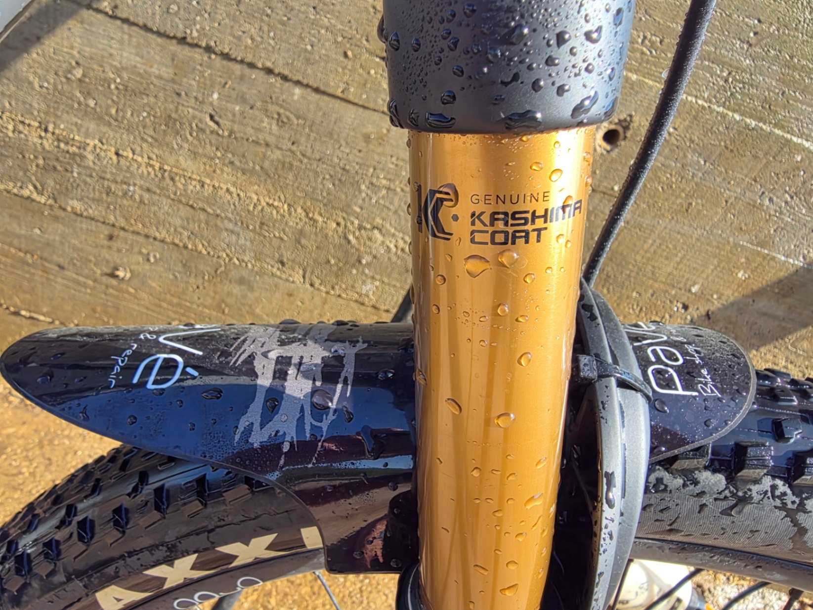 Bike view 7