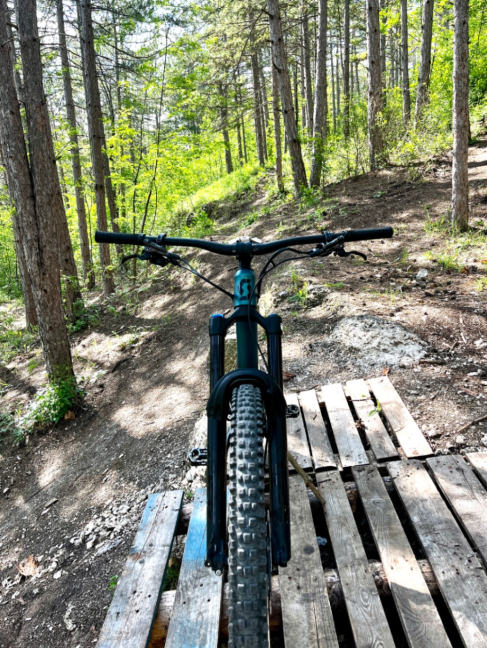 Bike view 7