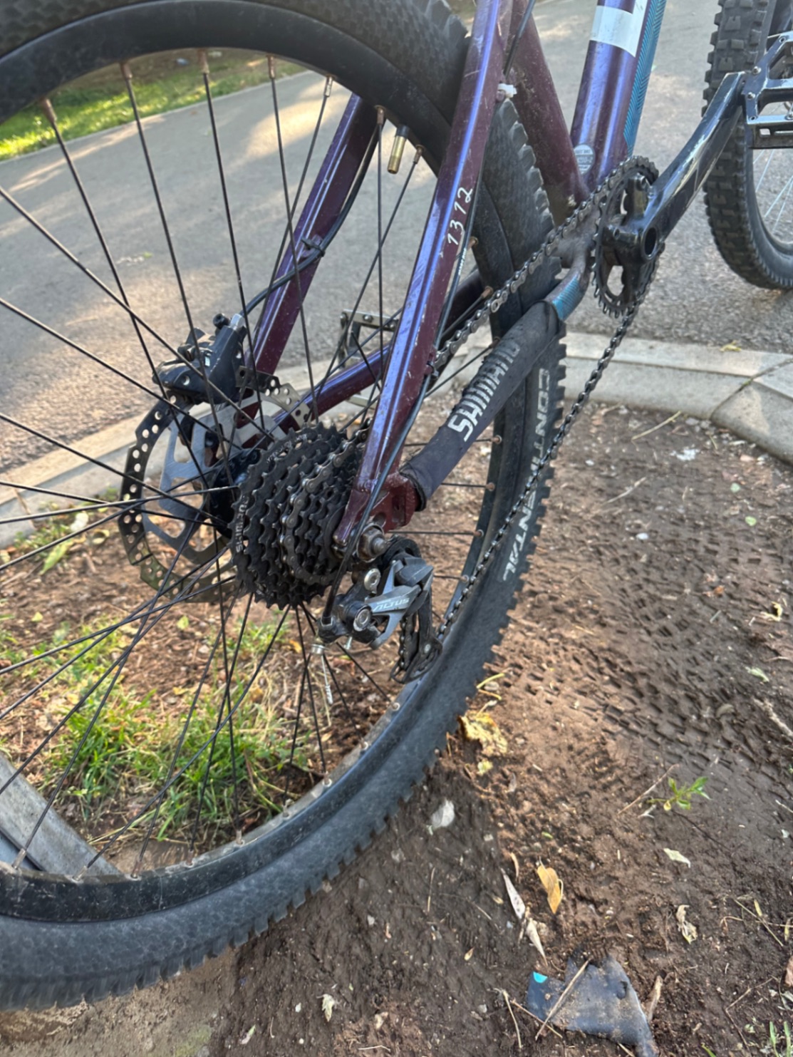Bike view 6