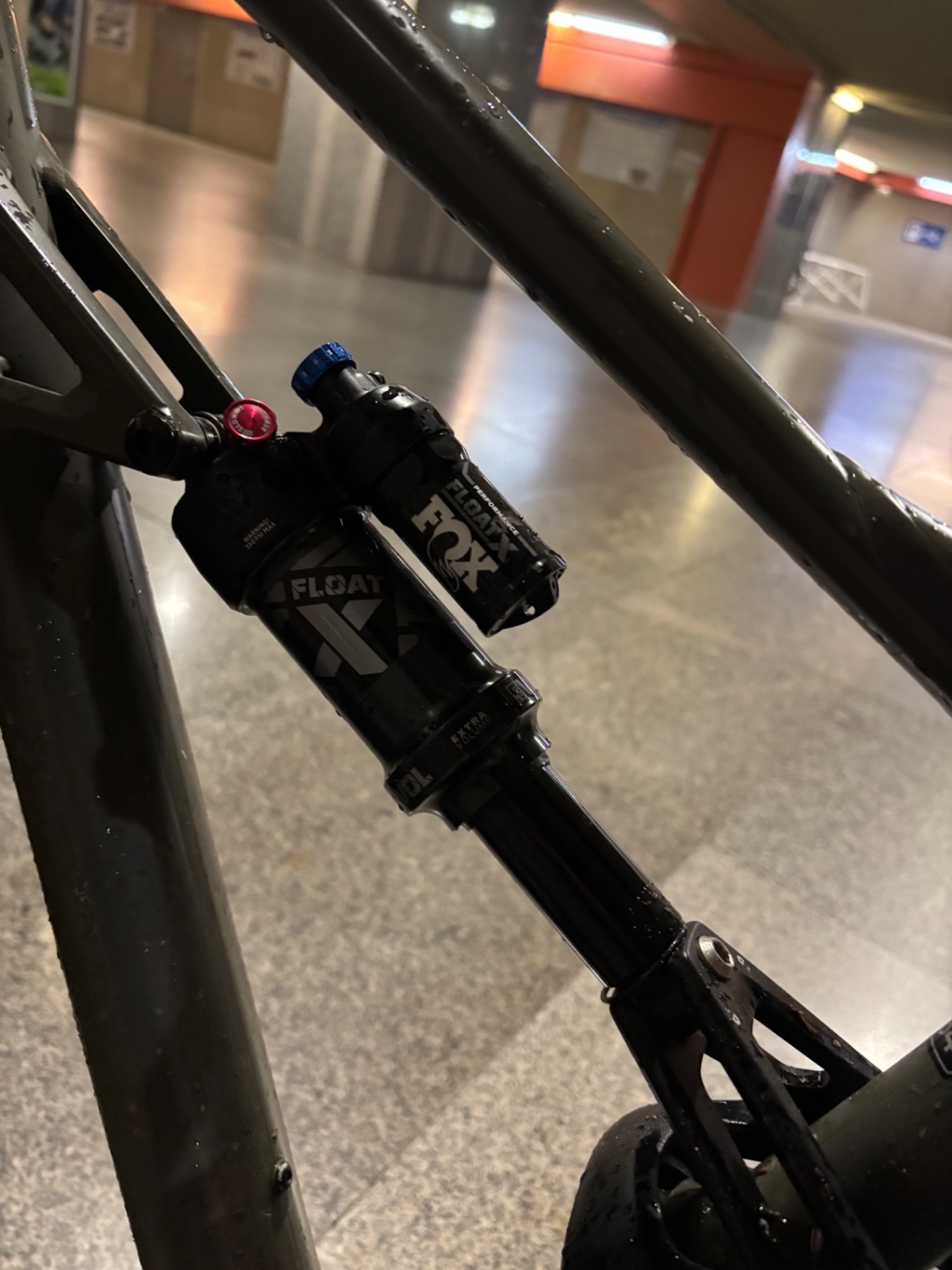 Bike view 7