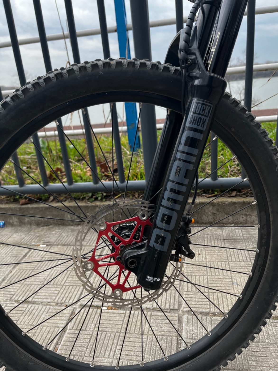 Bike view 5