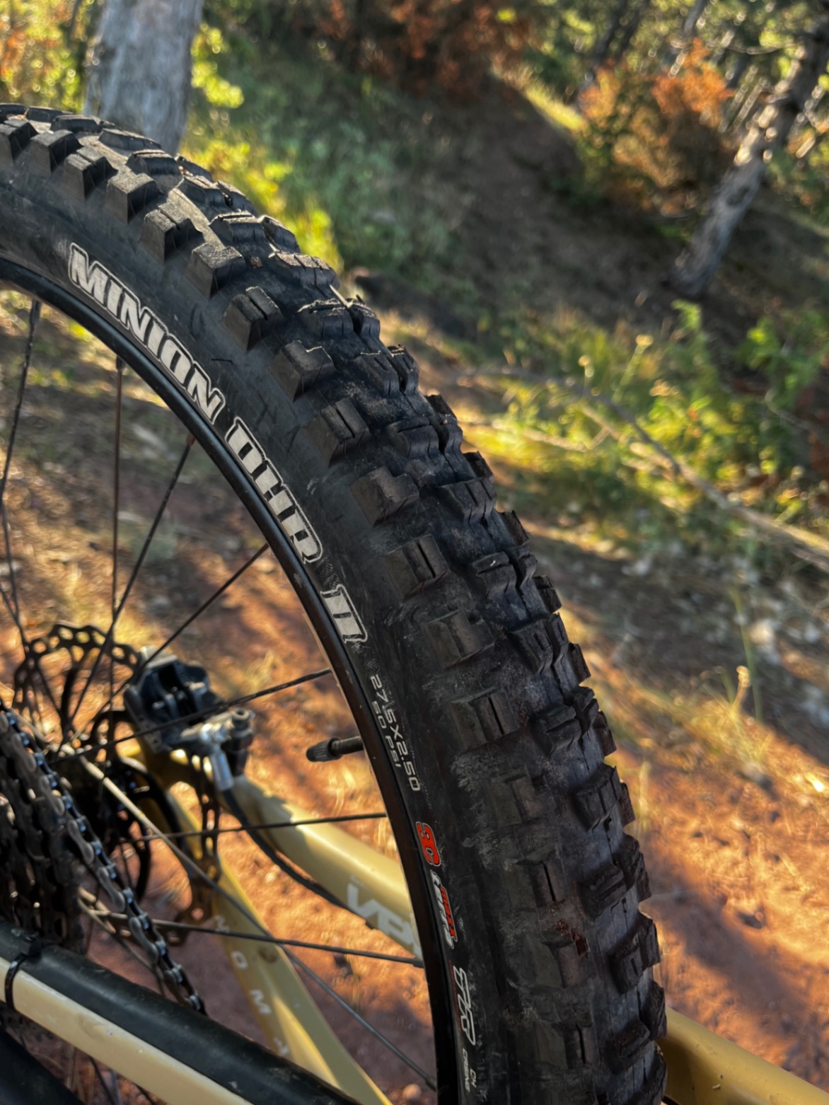 Bike view 9