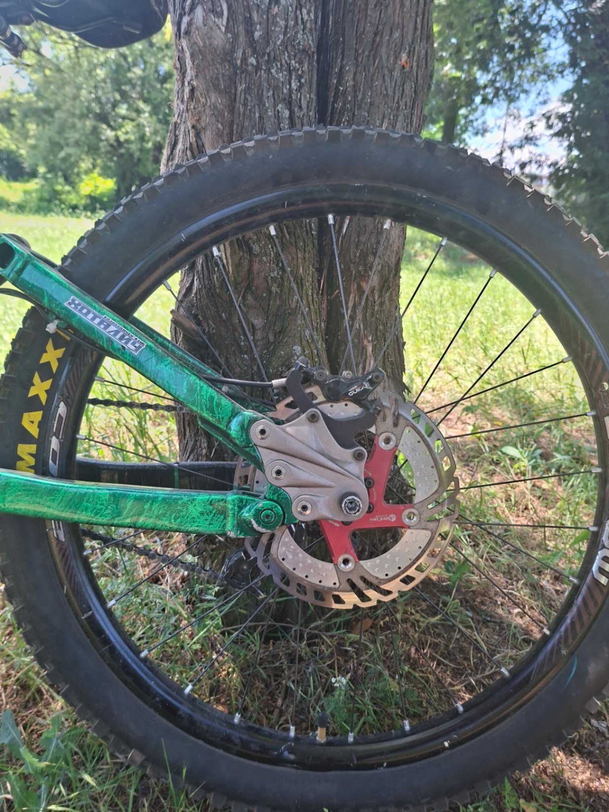 Bike view 6