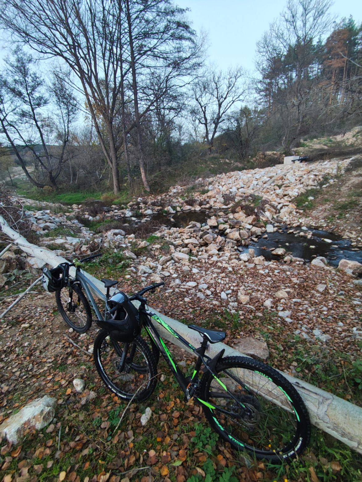 Bike view 6