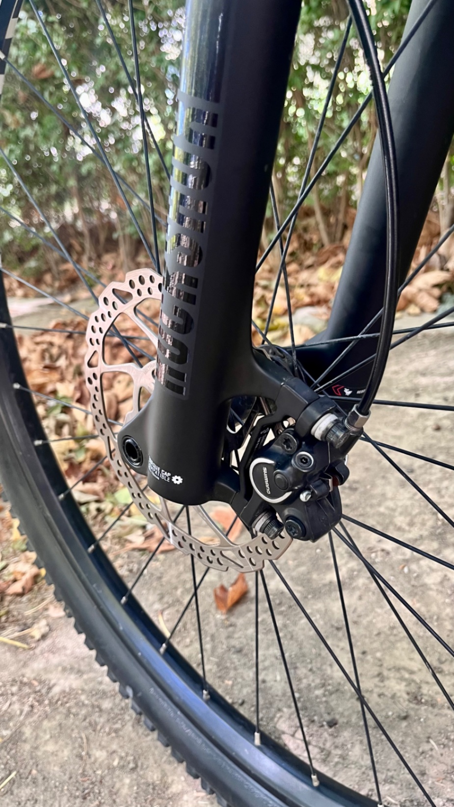 Bike view 8