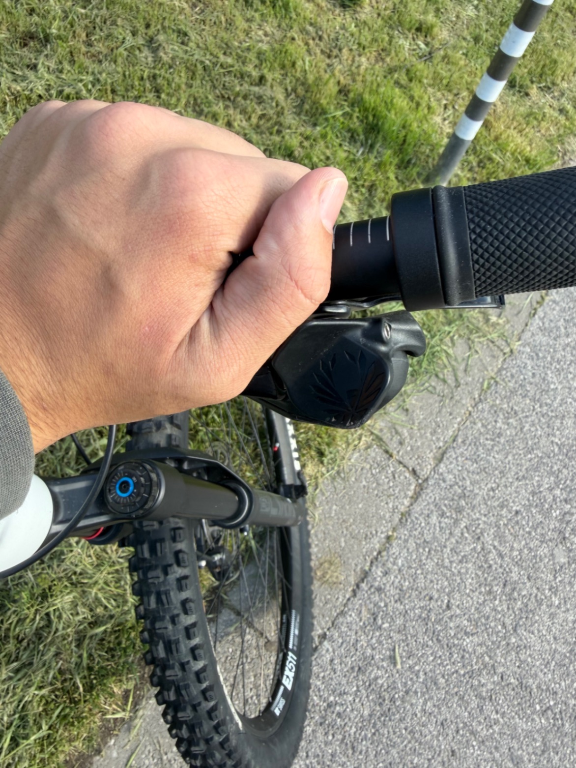 Bike view 9