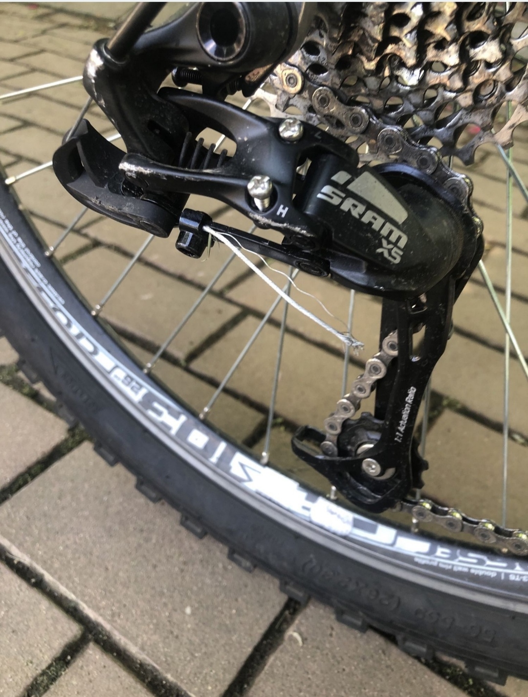 Bike view 5