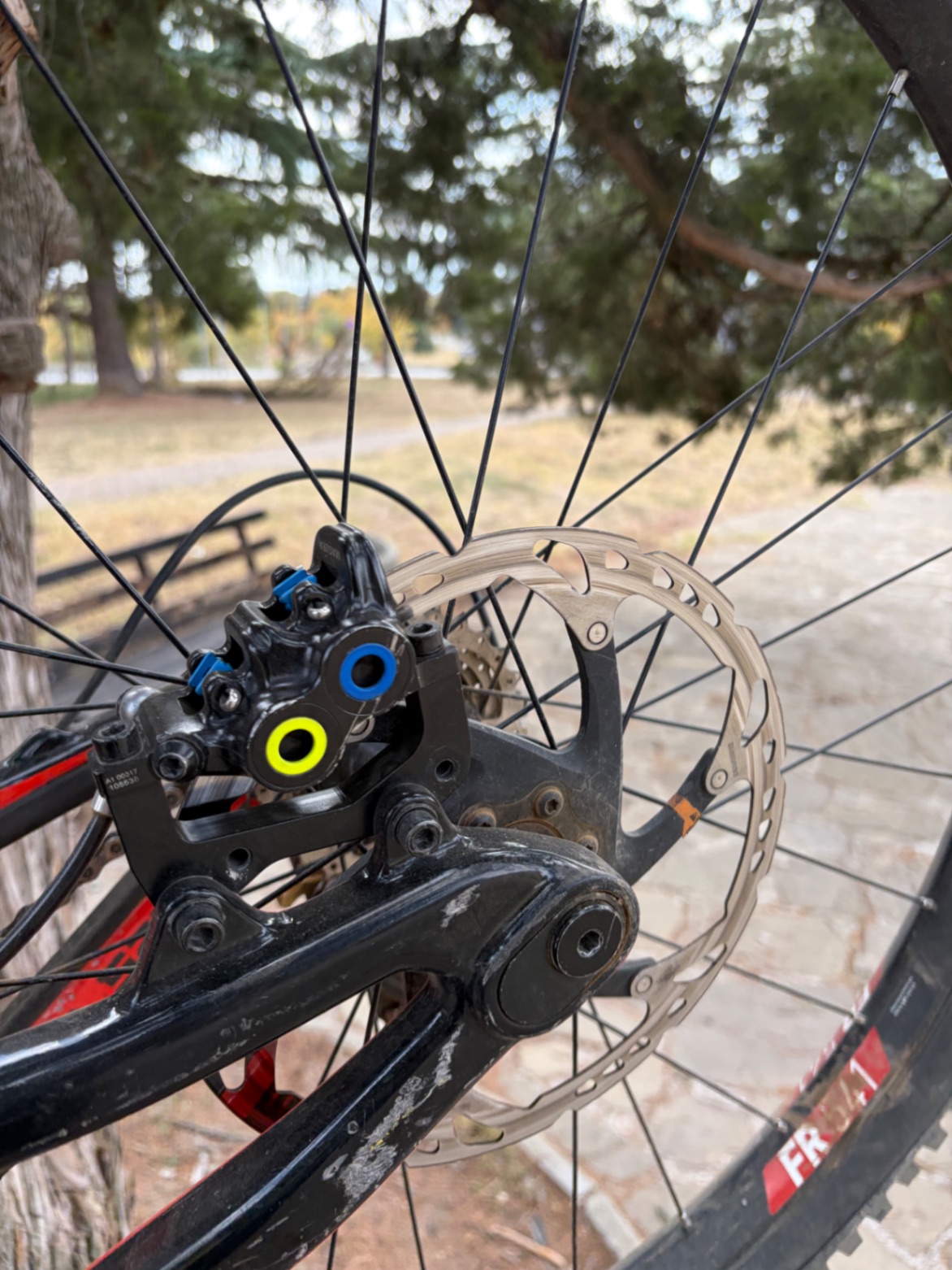 Saracen Myst x carbon view 7