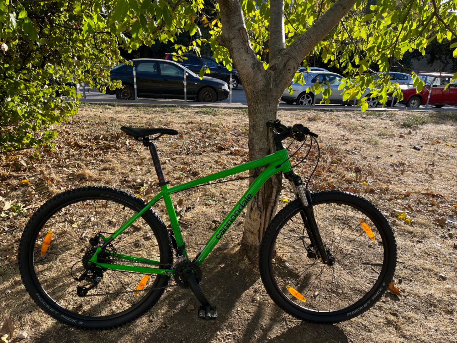 Bike view 2