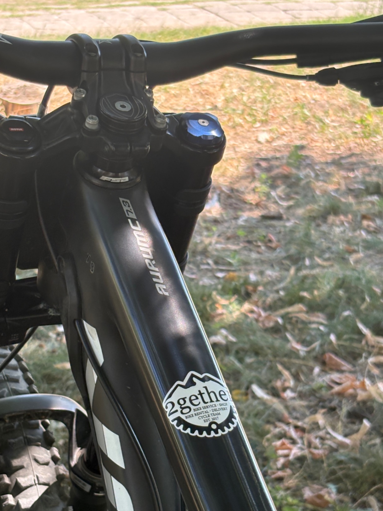 Bike view 9