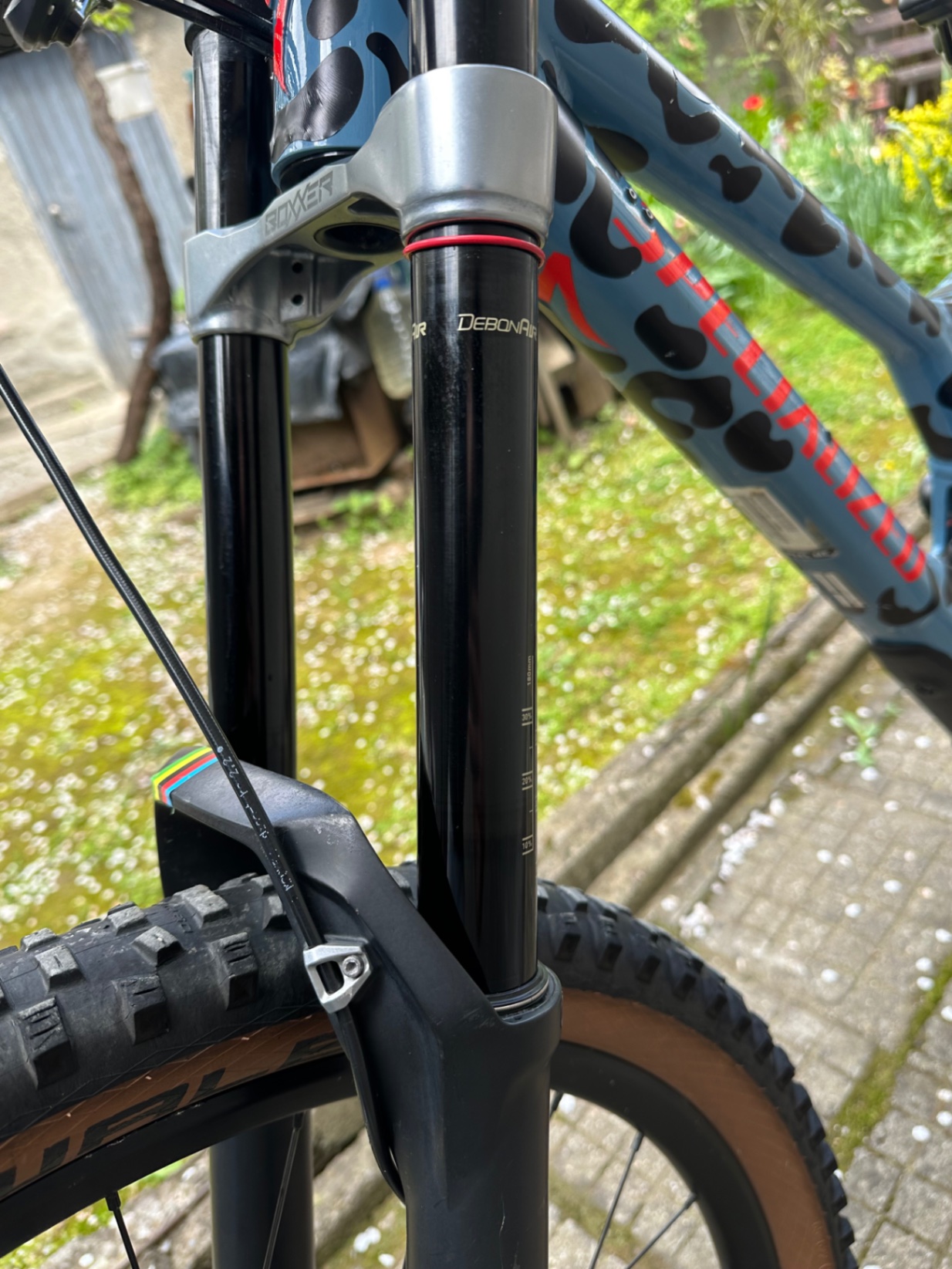 Bike view 11