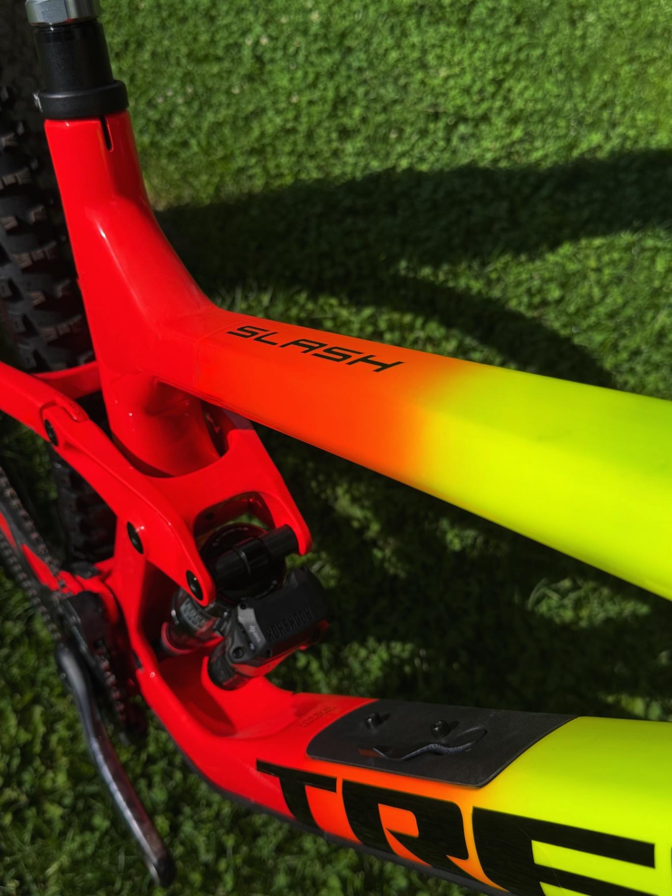 Bike view 8