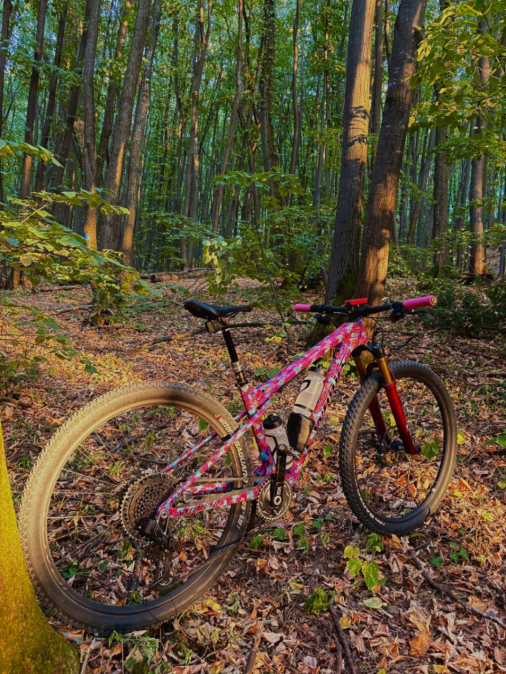 Bike view 2