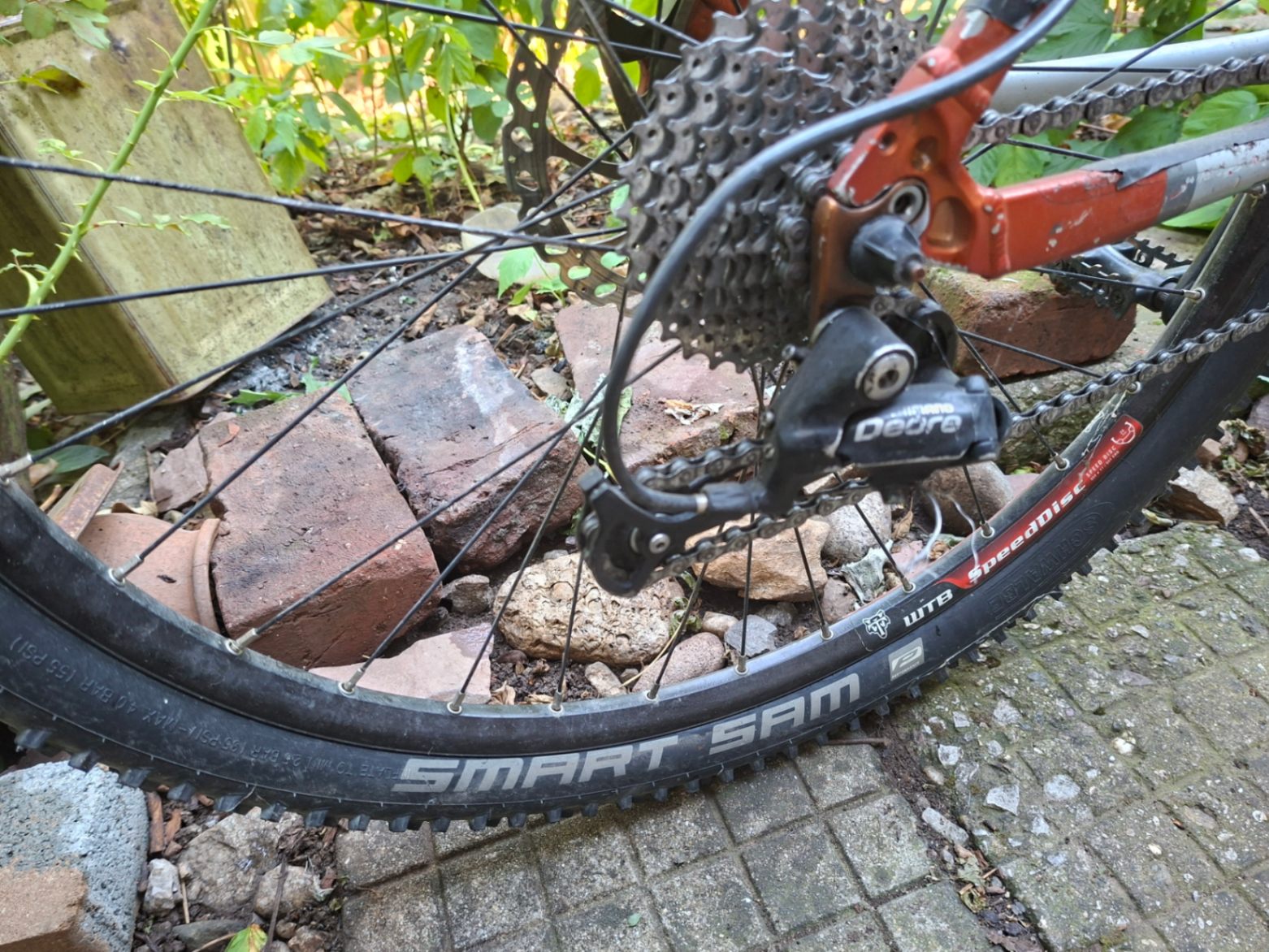 Bike view 5
