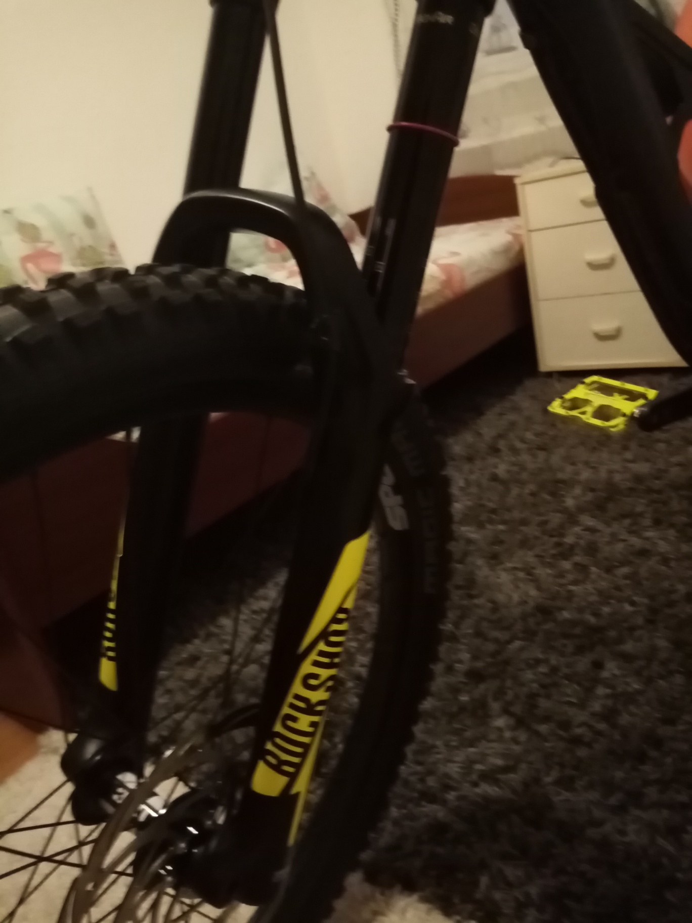 Bike view 7