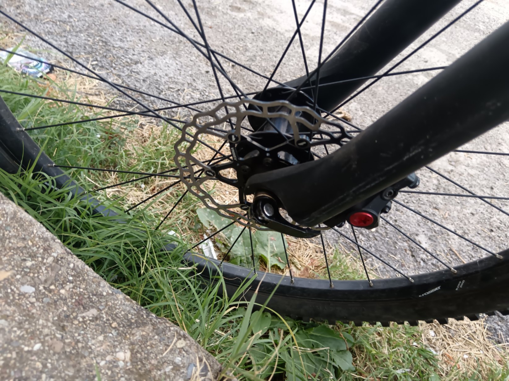 Bike view 12