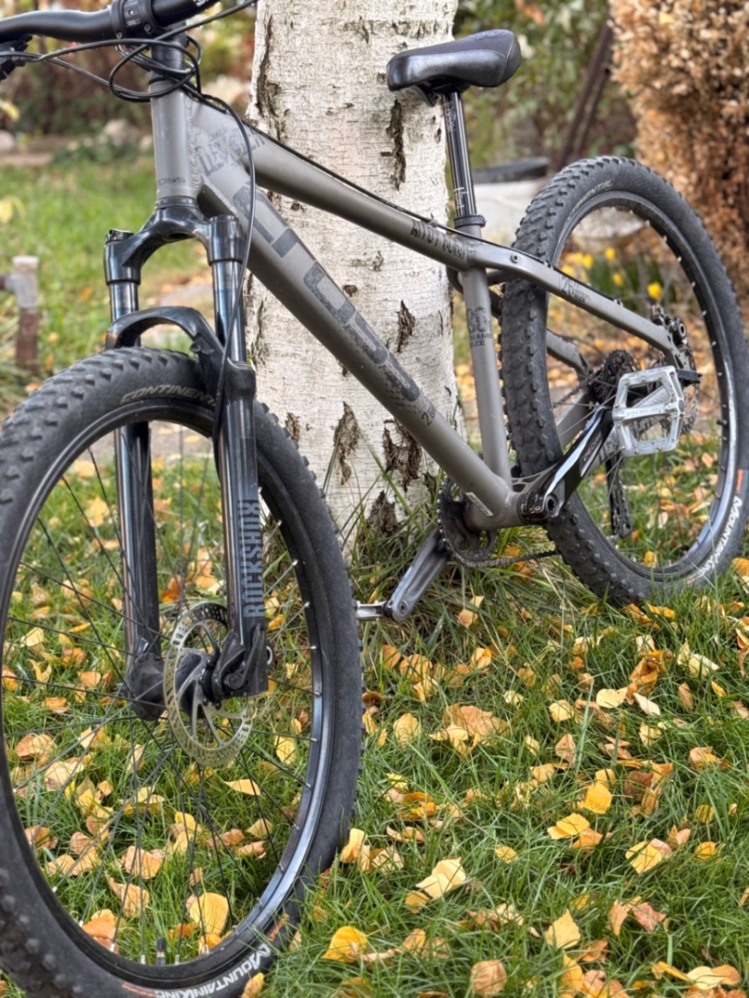 Bike view 8