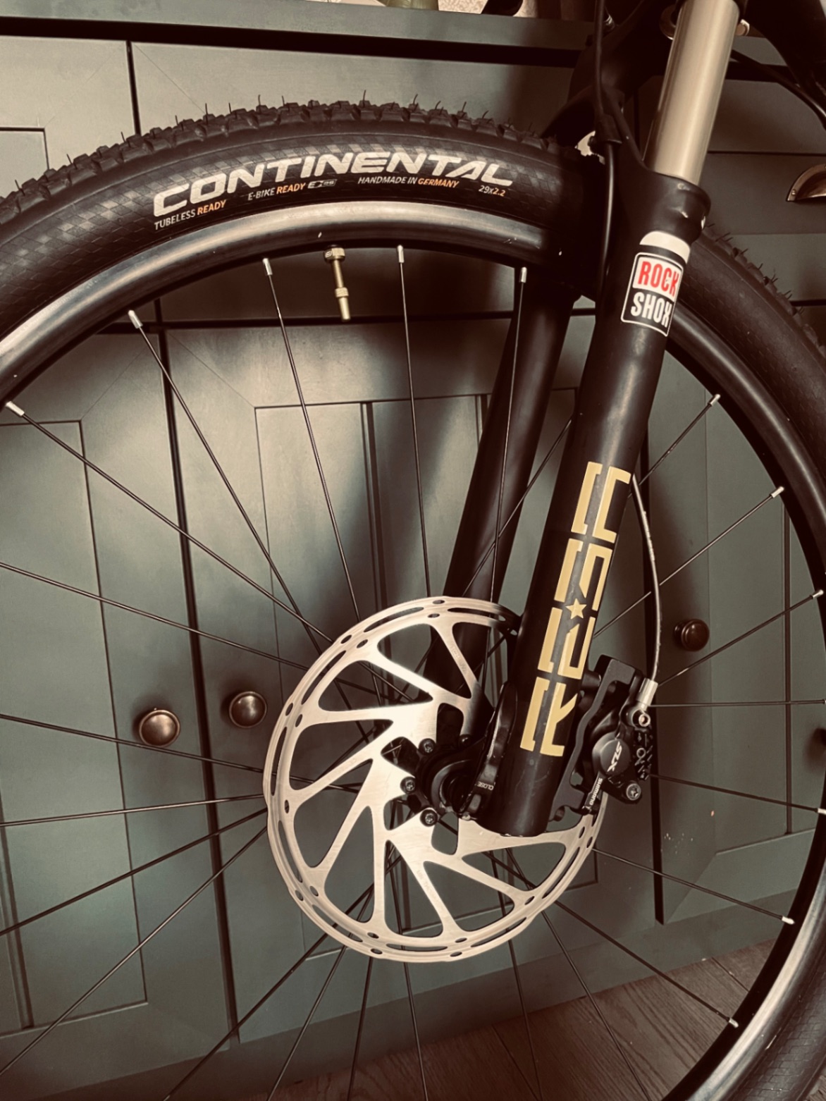 Bike view 10