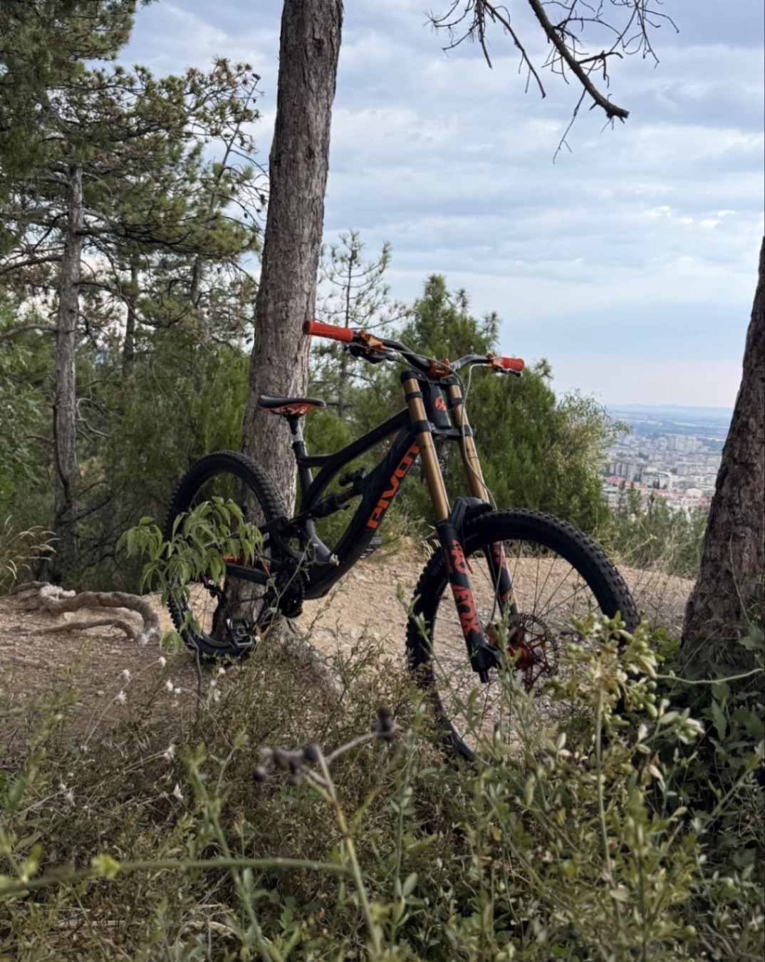 Bike view 6