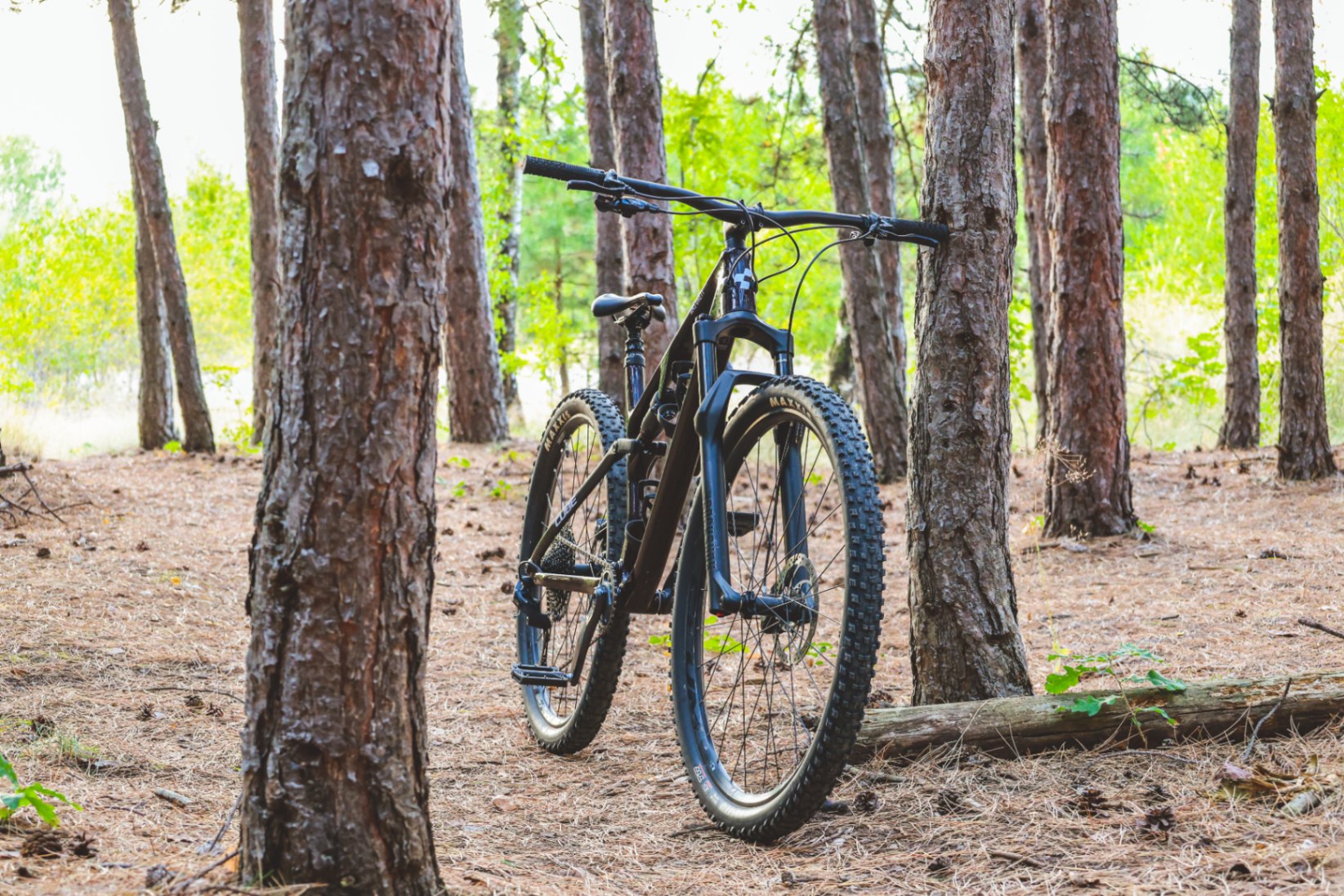 Bike view 11