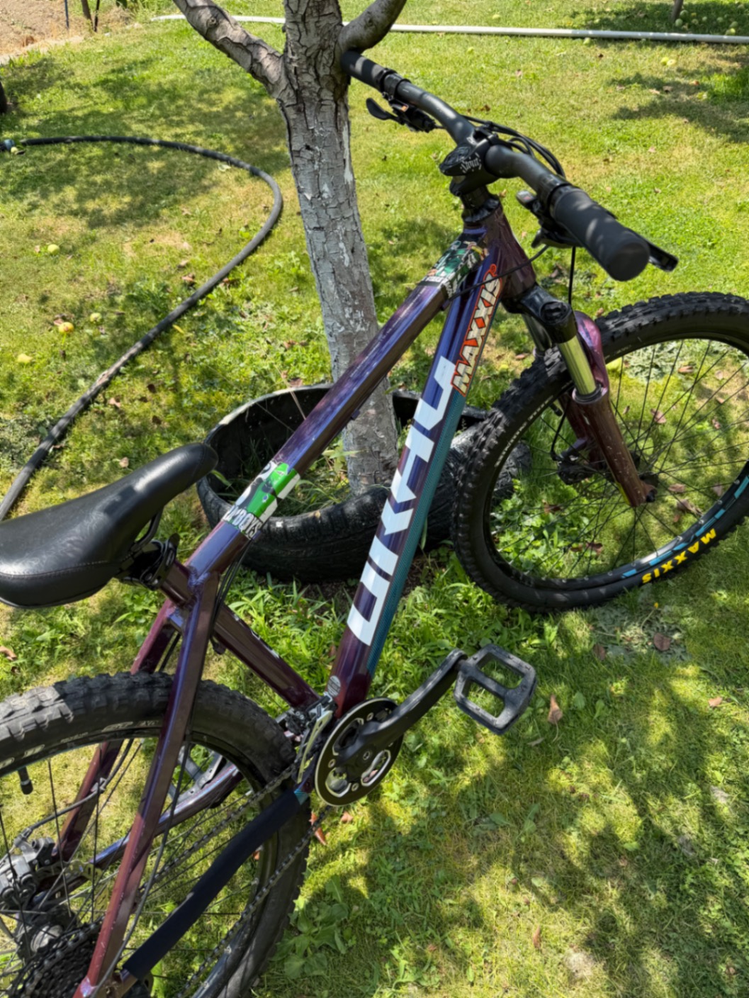 Bike view 7