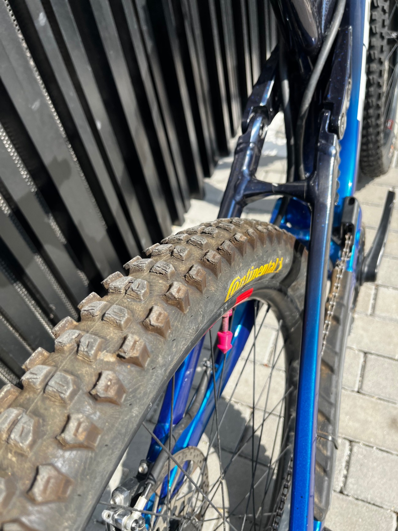 Bike view 9