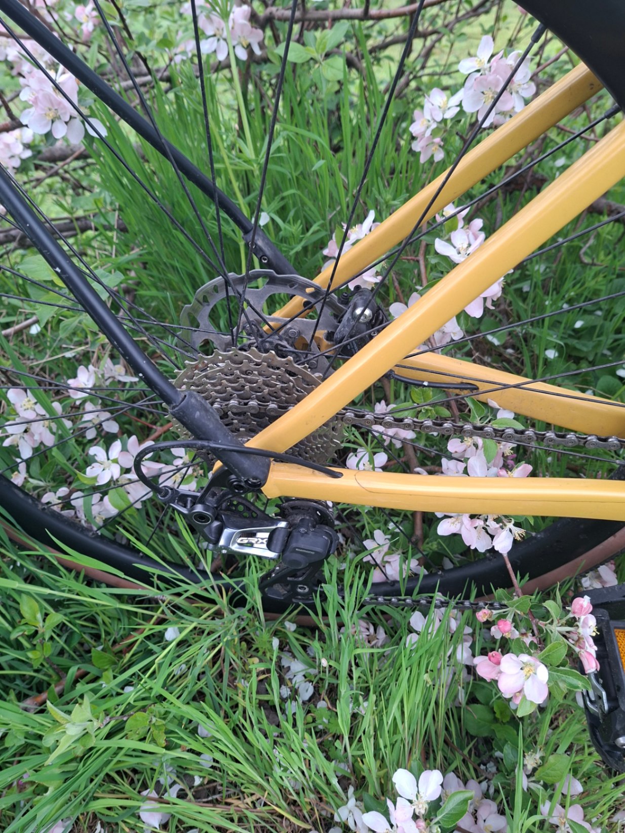 Bike view 4