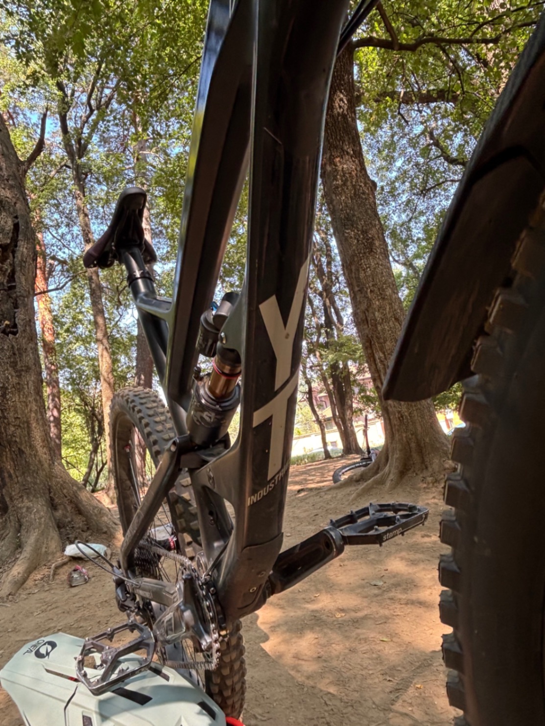 Bike view 10
