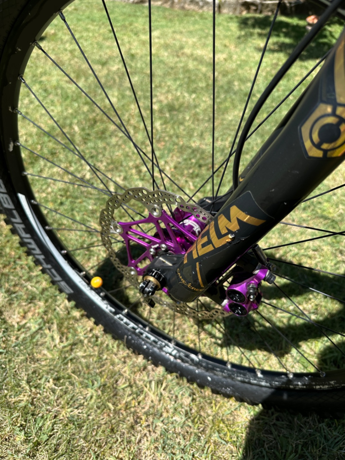 Bike view 4